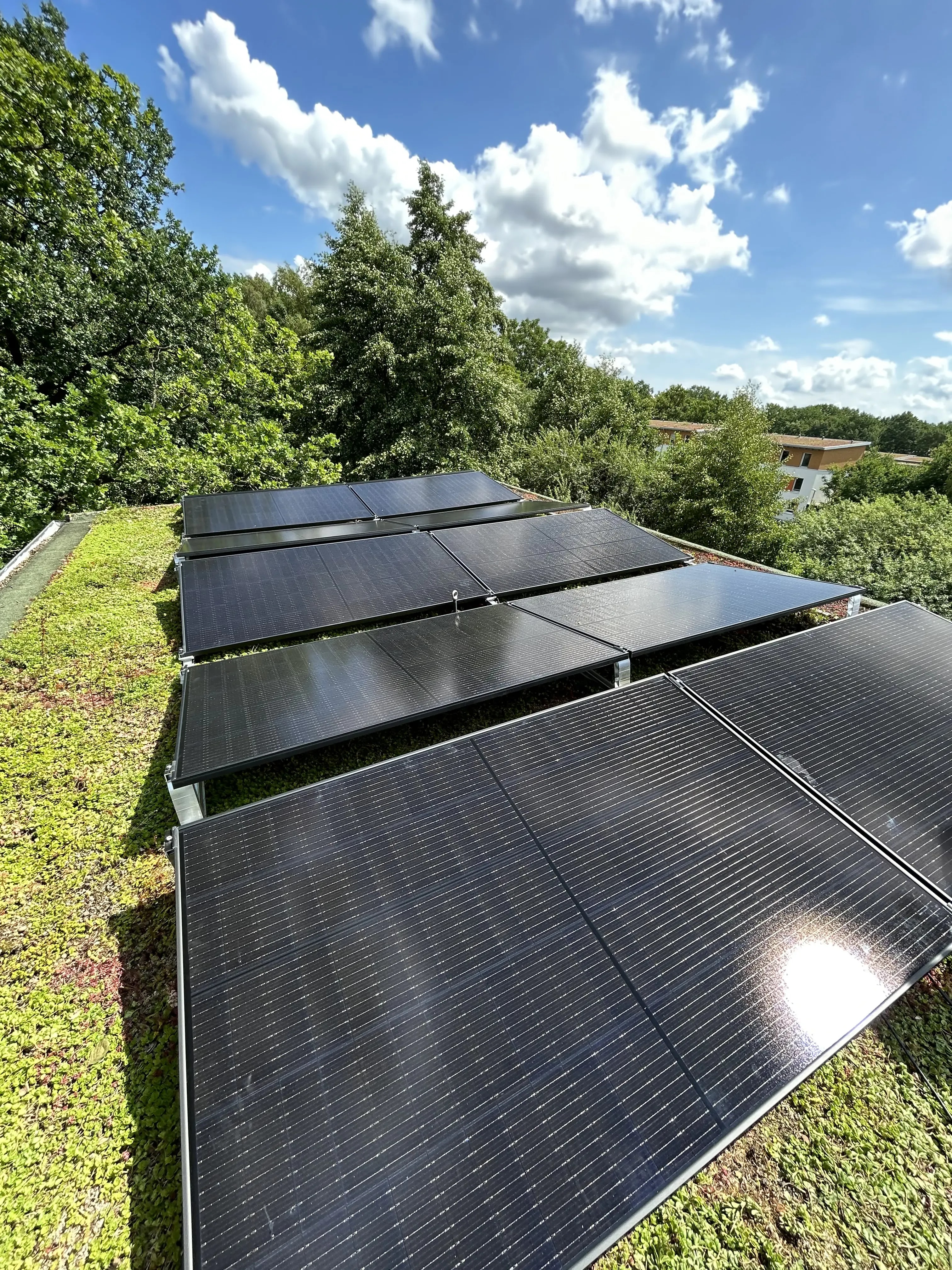 Solaranlage auf Flachdach mit Grünfläche, umgeben von Bäumen unter blauem Himmel mit Wolken.