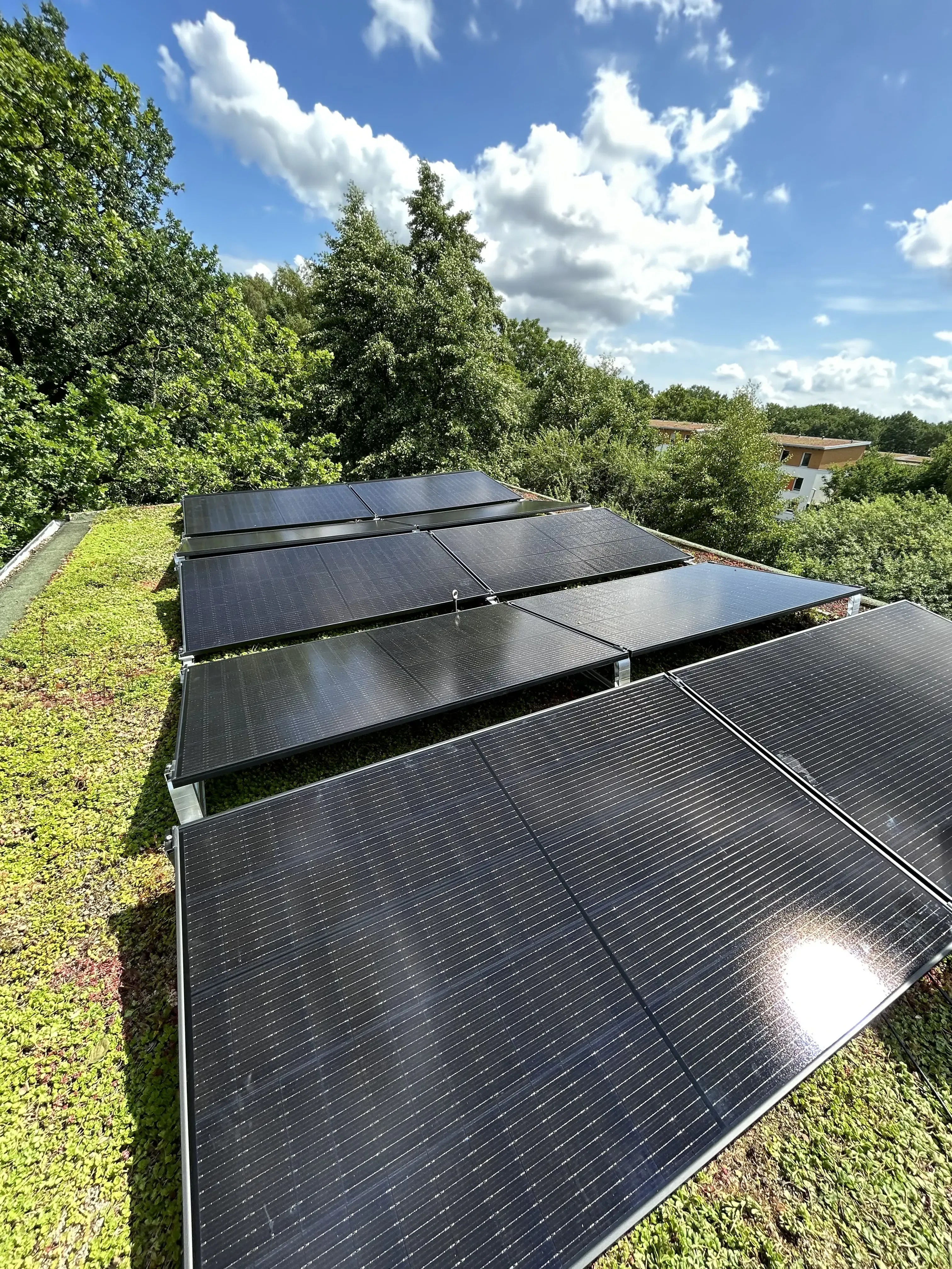 Photovoltaikanlage auf begrüntem Flachdach mit aufgeständerten Solarmodulen unter blauem Himmel.
